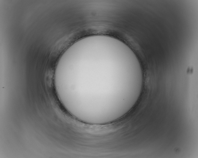 X0000111180026200907151335