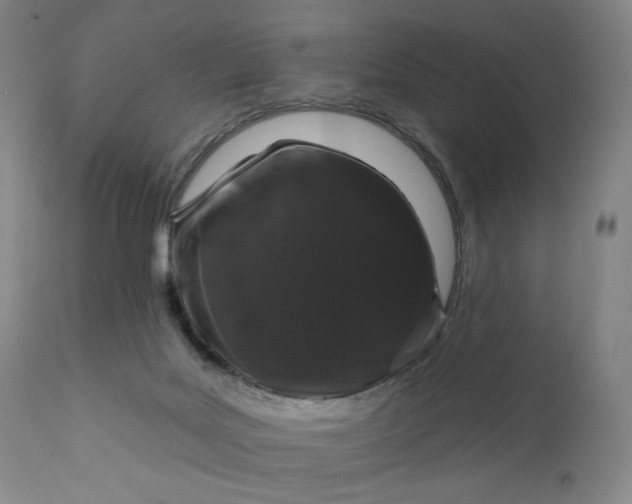 X0000111180027200907151335