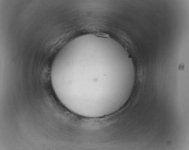 X0000111180029200907151335