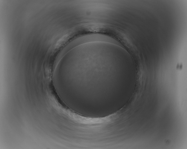 X0000111180031200907151335