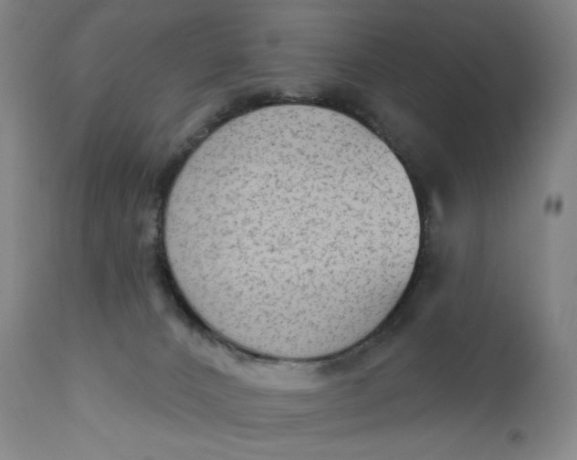 X0000111180032200907151335