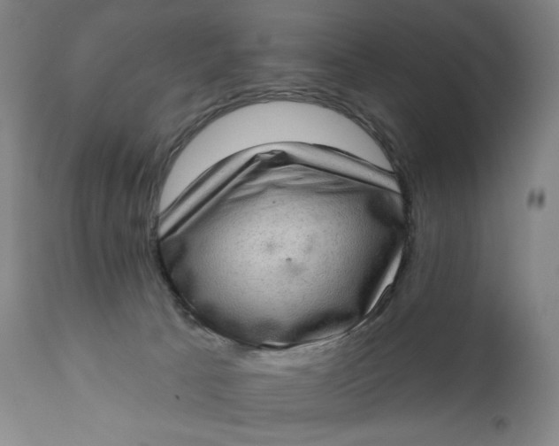 X0000111180033200907151335