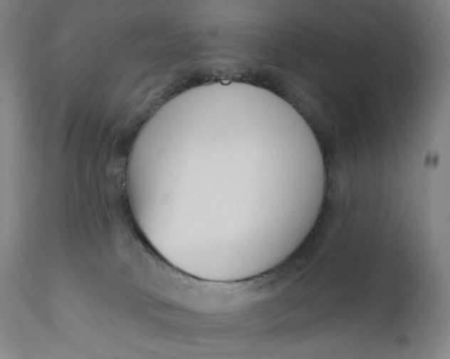 X0000111180034200907151335