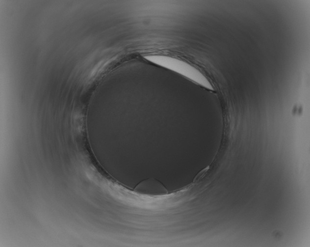 X0000111180035200907151335