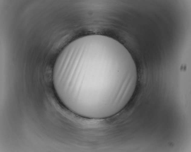 X0000111180036200907151335