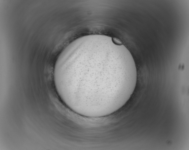 X0000111180038200907151335