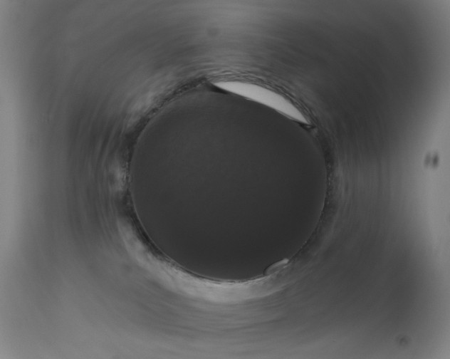 X0000111180039200907151335