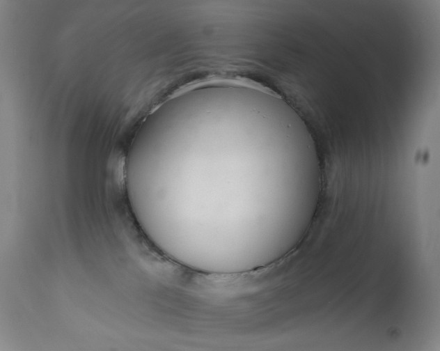 X0000111180041200907151335