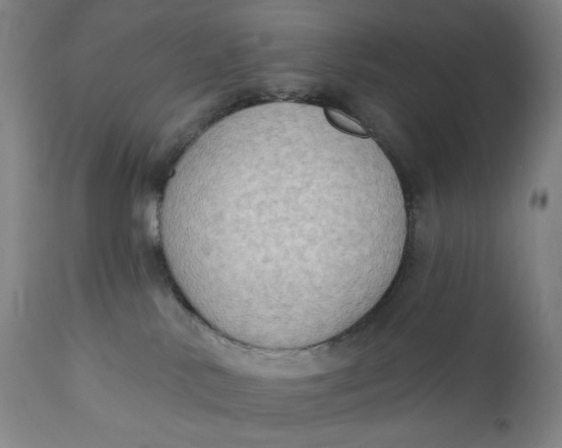 X0000111180042200907151335