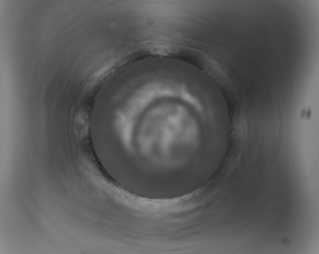 X0000111180043200907151335