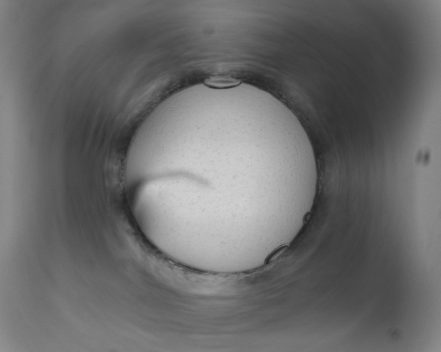 X0000111180044200907151335