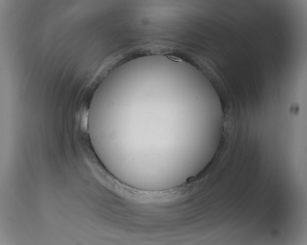 X0000111180046200907151335