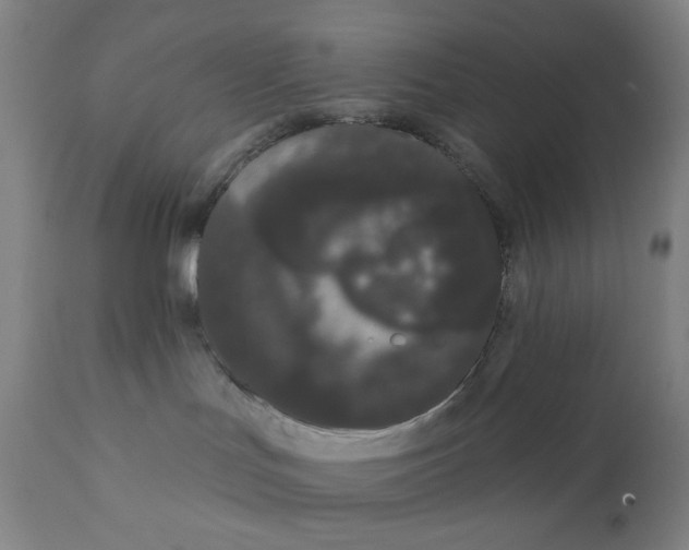 X0000111180047200907151335