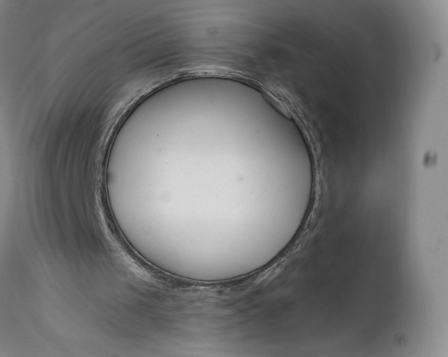 X0000111180049200907151334