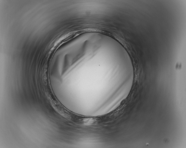 X0000111180050200907151334