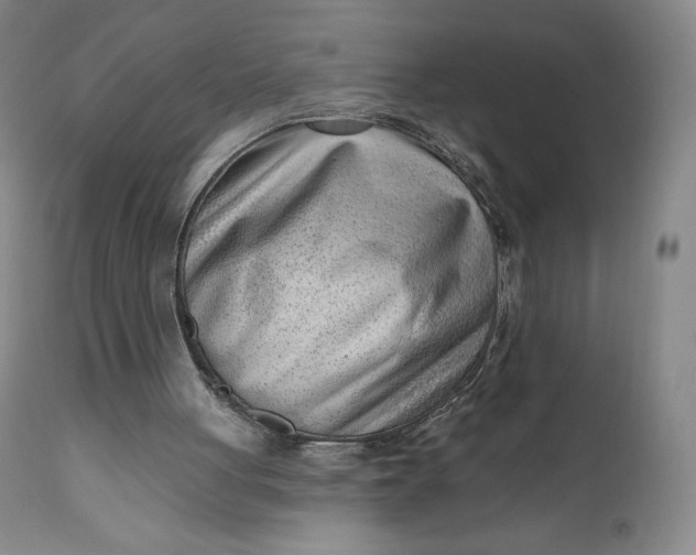 X0000111180051200907151334