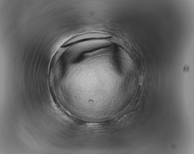 X0000111180052200907151334