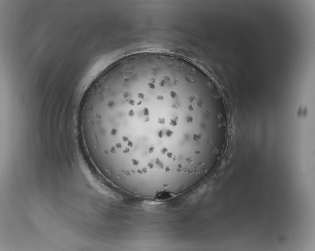 X0000111180055200907151334