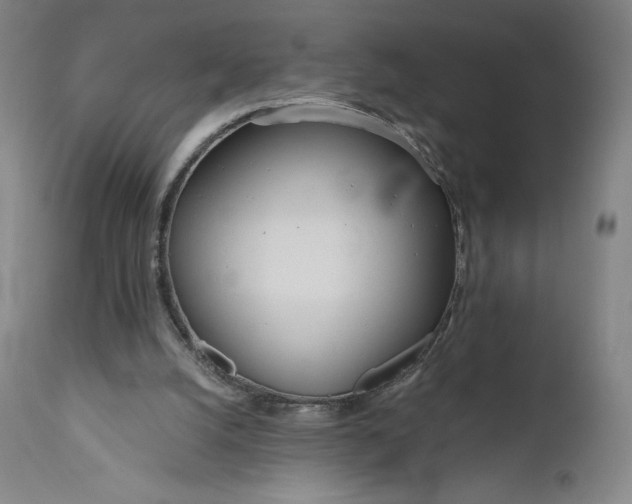 X0000111180056200907151334