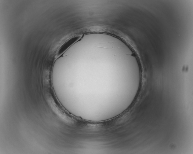 X0000111180057200907151334