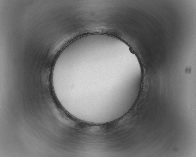 X0000111180058200907151334