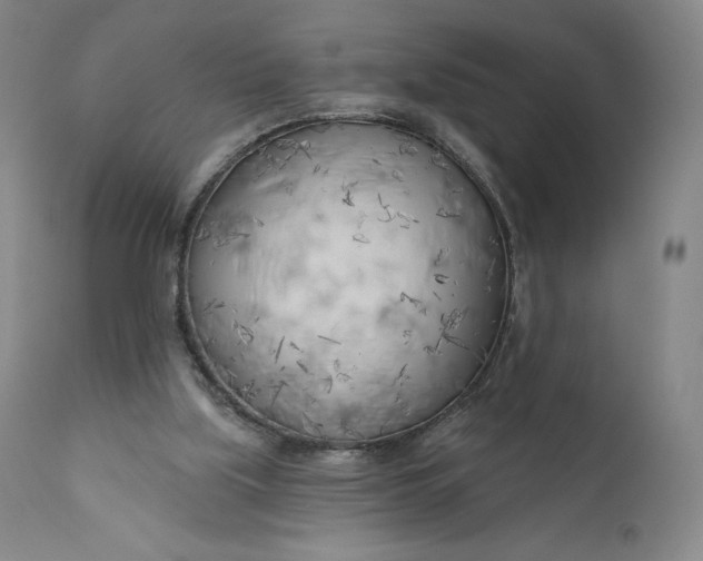 X0000111180059200907151334