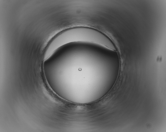 X0000111180060200907151334