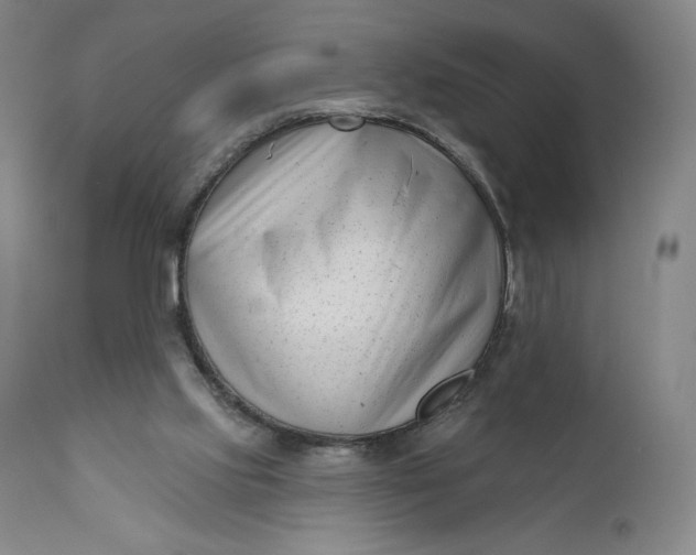 X0000111180061200907151334