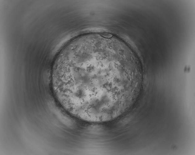 X0000111180063200907151334