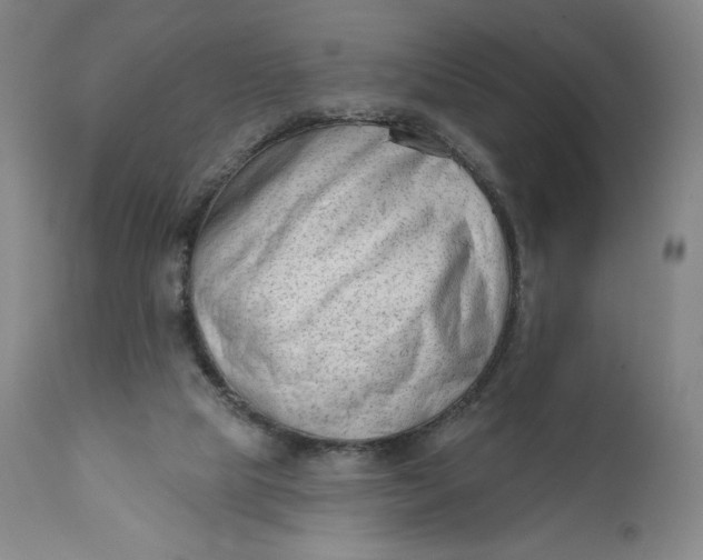 X0000111180065200907151334