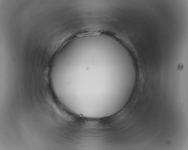 X0000111180066200907151334