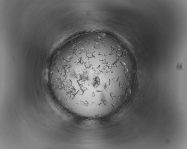 X0000111180067200907151334