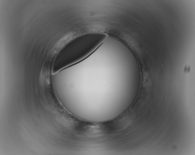 X0000111180068200907151334