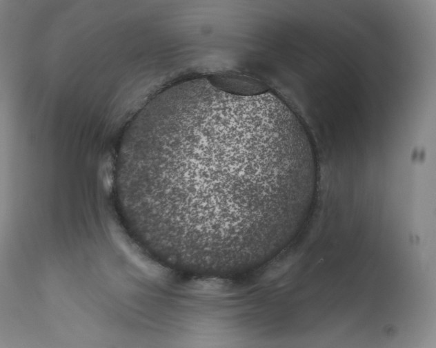 X0000111180069200907151334