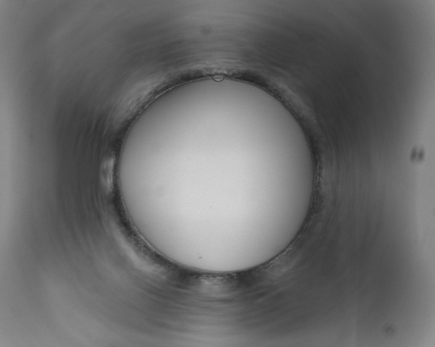 X0000111180070200907151334