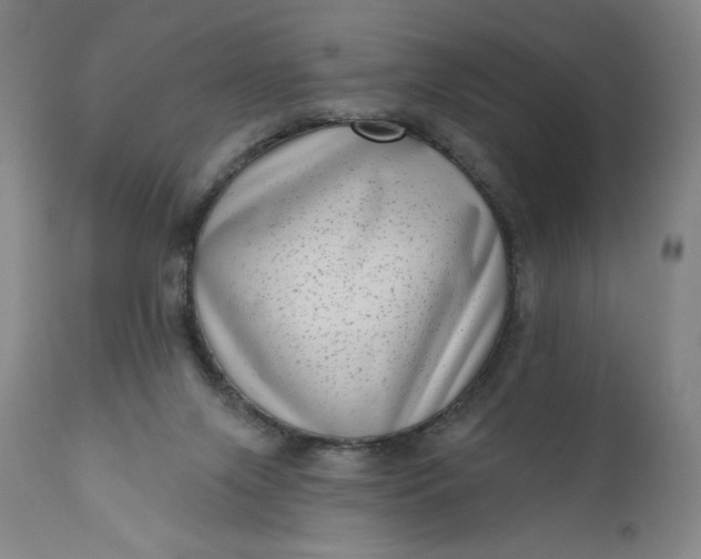 X0000111180071200907151334