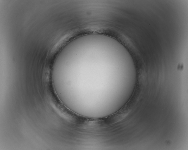 X0000111180072200907151335