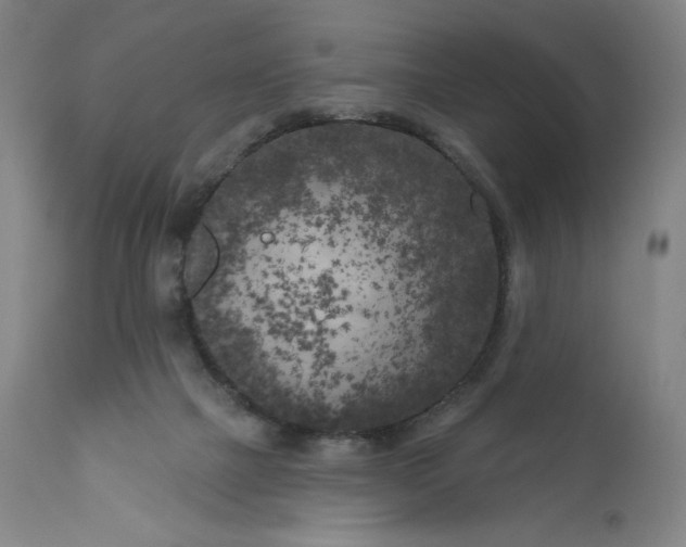 X0000111180073200907151335