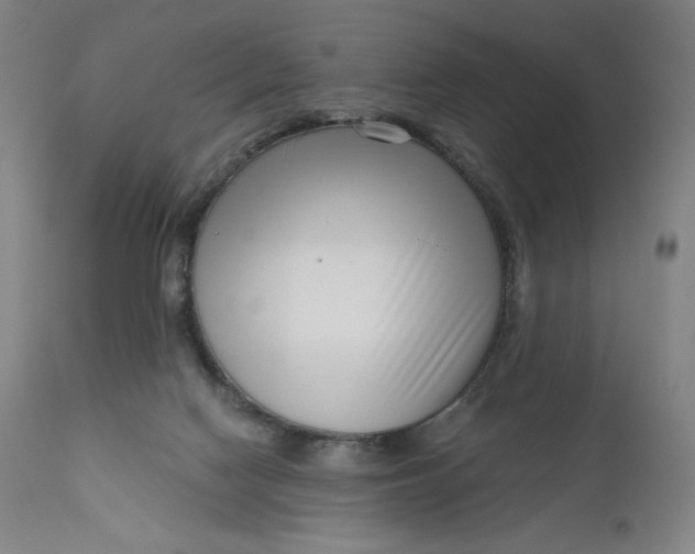 X0000111180074200907151335