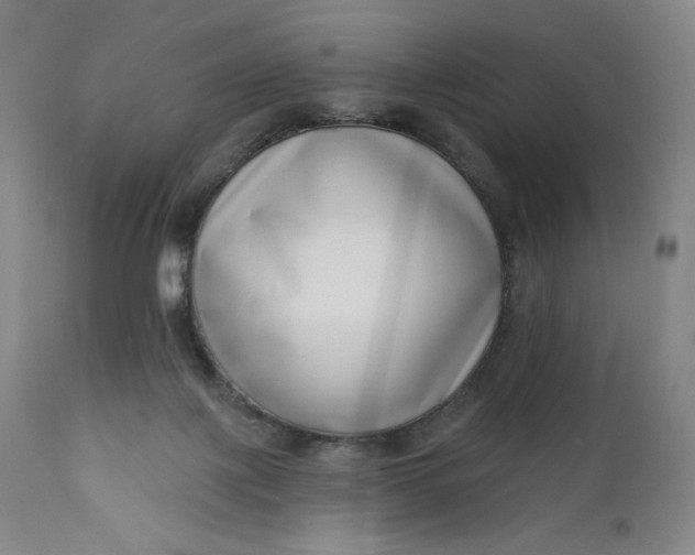 X0000111180075200907151335