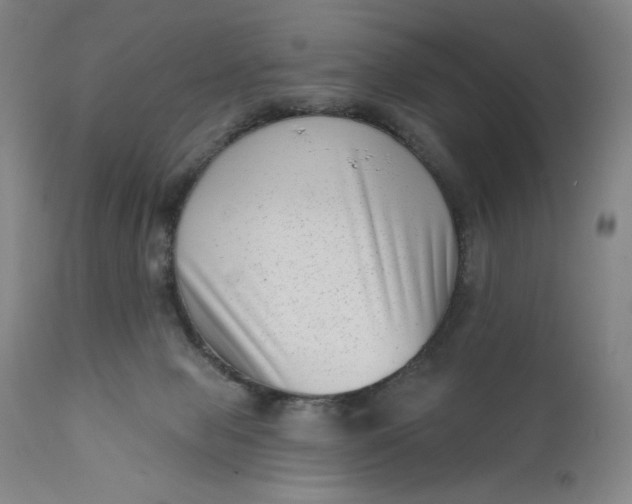 X0000111180077200907151335