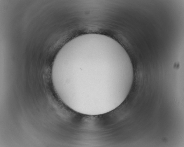 X0000111180079200907151335