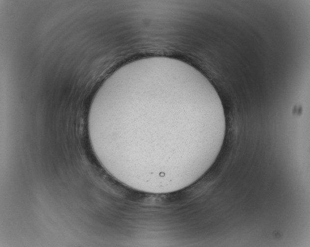 X0000111180080200907151335