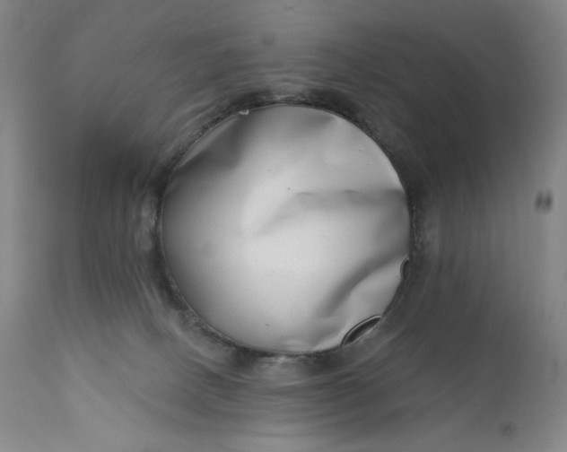 X0000111180082200907151335