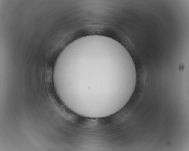 X0000111180083200907151335