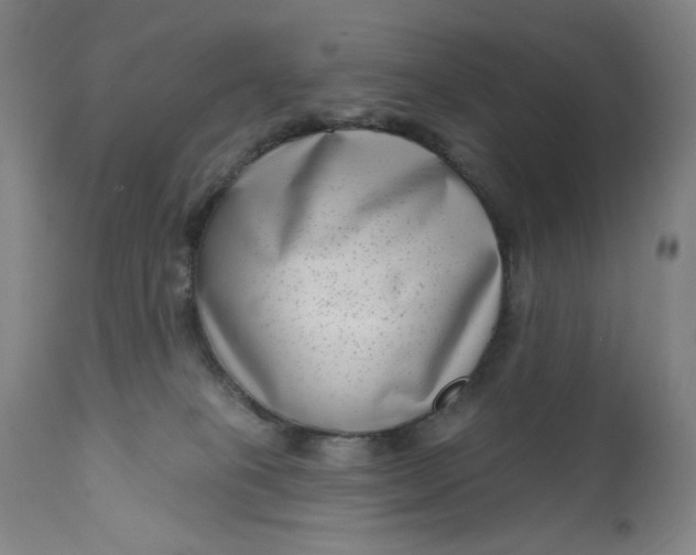 X0000111180085200907151335