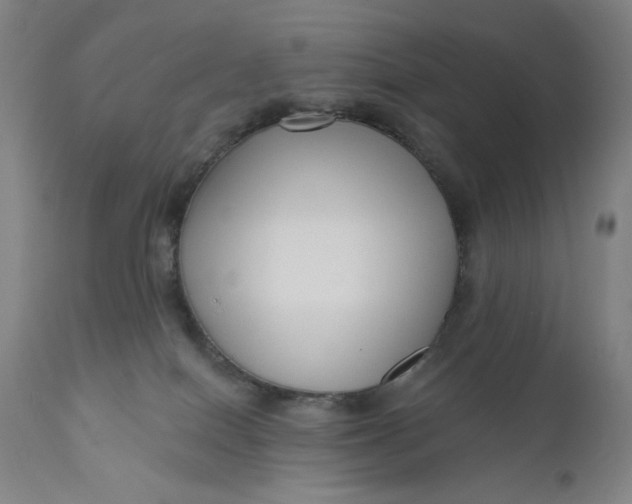 X0000111180086200907151335