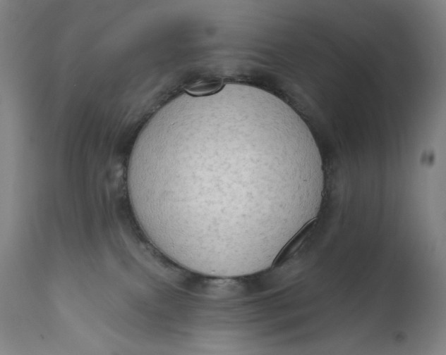 X0000111180087200907151335