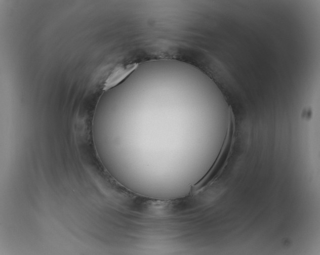 X0000111180088200907151335