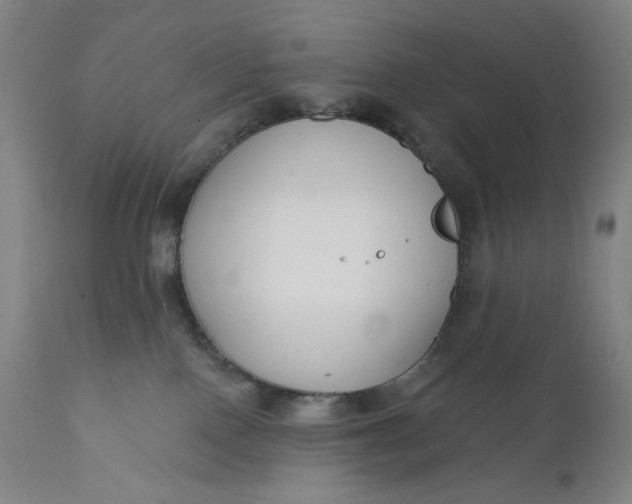 X0000111180090200907151335